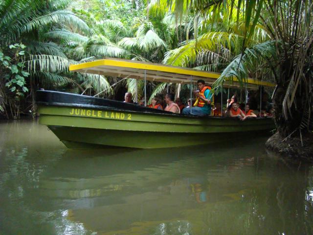 jungle land panama