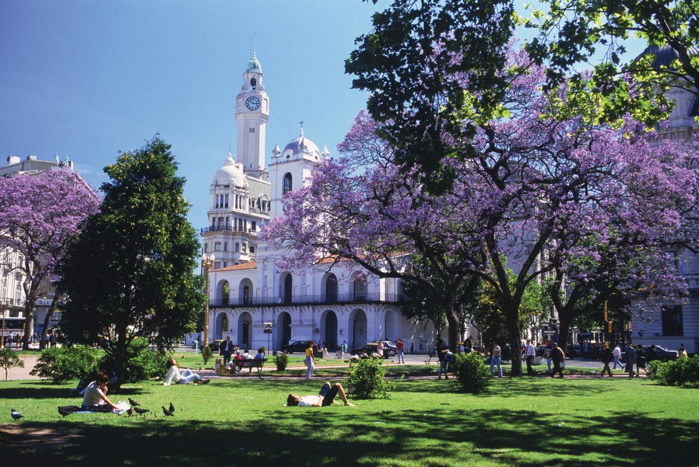 The Cabildo and Clock Tower at Plaza de Mayo with jacaranda trees in Buenos Aires